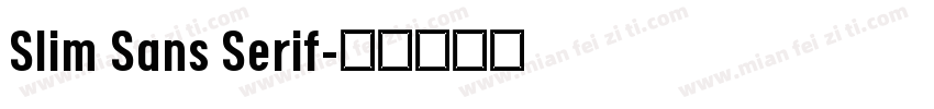 Slim Sans Serif字体转换